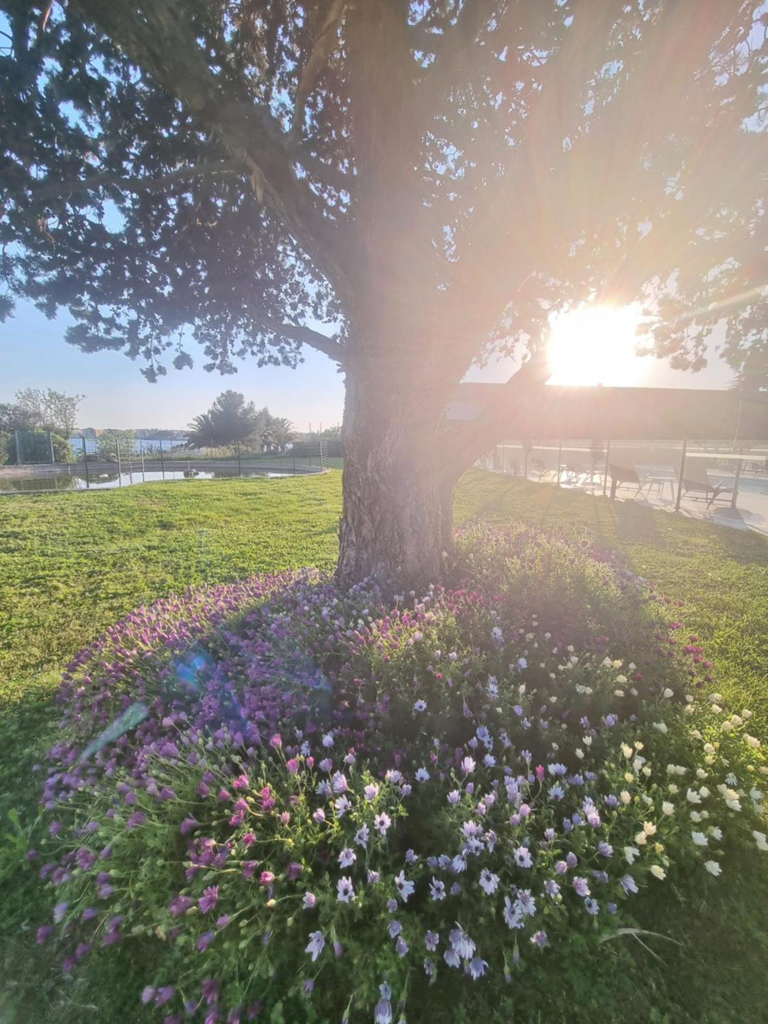 פו-סור-מר Ariane Hotel Fos Sur Mer מראה חיצוני תמונה